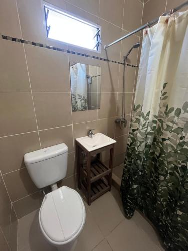 a bathroom with a toilet and a sink and a mirror at Jacaranda Alojamiento in Ezeiza