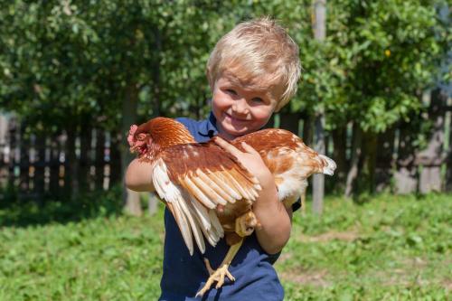 a young boy holding a chicken in a field at Winklerhof Apartments in Brunico
