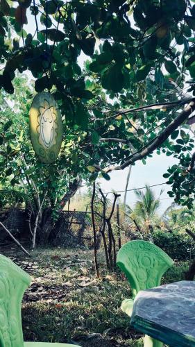 a green object is hanging from a tree at DNA secret palace in Tangalle