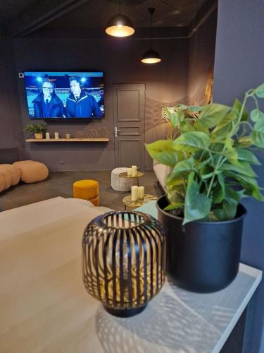 Télévision ou salle de divertissement dans l'établissement ibis Rambouillet