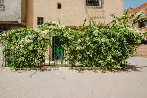 Φωτογραφία από το άλμπουμ του Aéroport hostel et chambre appartement studio Marrakech στο Μαρακές