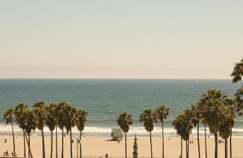 a group of palm trees on a beach with the ocean at Hotel Erwin Venice Beach in Los Angeles