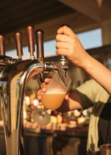 a person is pouring a drink into a blender at Hotel Erwin Venice Beach in Los Angeles