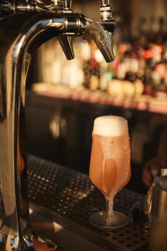 a beer is being poured into a glass at Hotel Erwin Venice Beach in Los Angeles