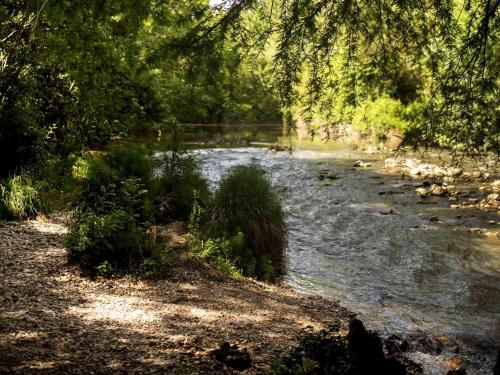 a river with a tree hanging over it at ibis Aix en Provence in Aix-en-Provence