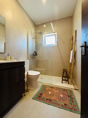a bathroom with a shower and a toilet and a sink at Casa Terras do Douro in Vacalar