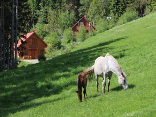 a horse and a pony grazing in a field at Karawankenpanorama in Grassendorf