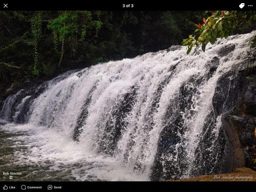 a waterfall in the middle of a river at Malanda Falls Retreat in Malanda