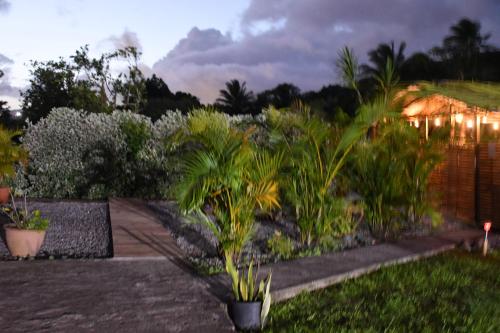 Ein Garten an der Unterkunft O Logis du Morne Jacob "COLIBRI", Le Morne-Rouge Martinique