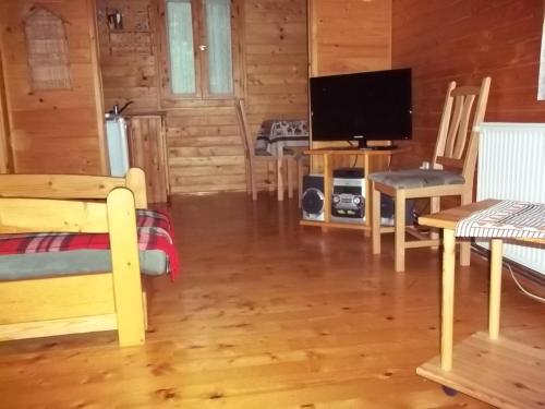 sala de estar con TV y paredes de madera en Romantyk vendégház, en Mánfa