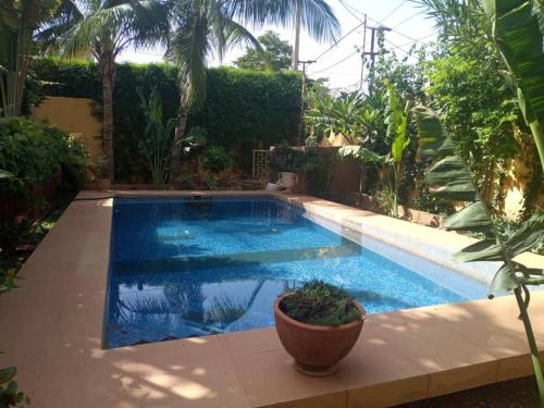 a swimming pool in a backyard with a plant in a pot at La Villa sûr in Niamey