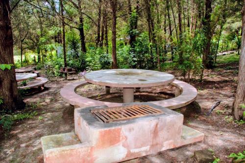 Zahrada ubytování Campamento y parque Niltse