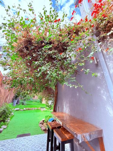 Κήπος έξω από το MAKTVB Brasil - Hostal Boutique