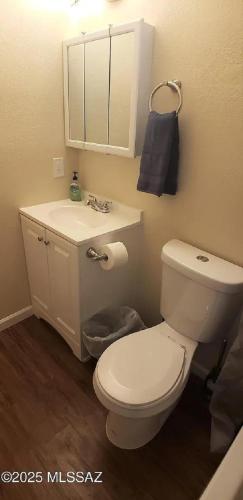 a bathroom with a white toilet and a sink at Charming 1-bed apt, cook-ready kitchen, laundry, 5-8 mins to U of A and Downtown in Tucson