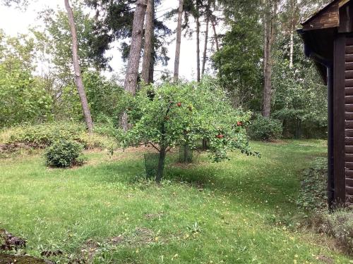 Zahrada ubytování 4 person holiday home in SMEDSTORP
