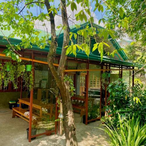 a house with a green roof and a tree at SAGADA STAYCATION WITH OWN PRIVATE TOILET and BATH in Sampong