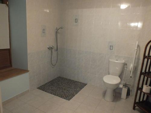 a bathroom with a shower with a toilet in it at Charmante chambre d'hôtes rénovée avec parking à La Berthenoux - FR-1-591-692 in Thevet-Saint-Julien
