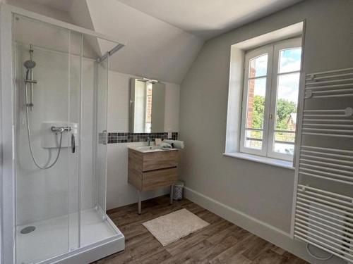 a bathroom with a shower and a sink and a window at Gîte familial au cœur de l'Allier, proche du PAL - FR-1-489-587 in Saligny-sur-Roudon