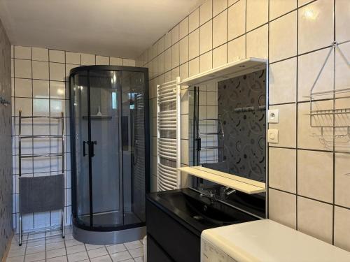 Un baño con ducha, lavabo y espejo. en Gîte De Fontariol avec Piscine Couverte en Auvergne - FR-1-489-590, en Le Theil
