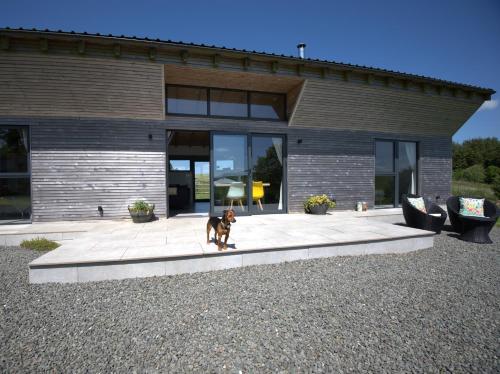 a small dog standing in front of a building at 2 Bed in Llandrindod Wells 53193 in Llandrindod Wells