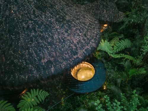 an overhead view of a toilet in a garden at Hideout Eco Bamboo House Bali in Selat
