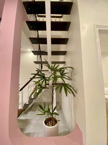 a plant in a white pot sitting under a staircase at Homestay NAD nguyên căn tại Phan Thiết in Ấp Sung Xuân