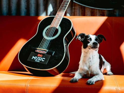 a dog sitting on a couch next to a guitar at ibis Marseille Provence Aéroport in Marignane