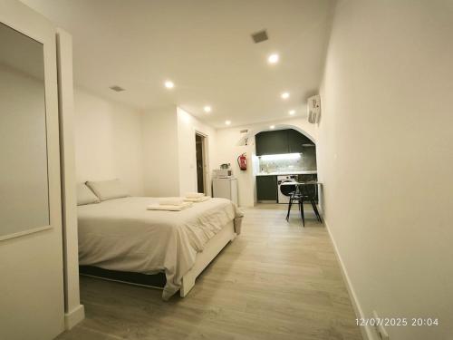 TVM simple studio in old Lisbon