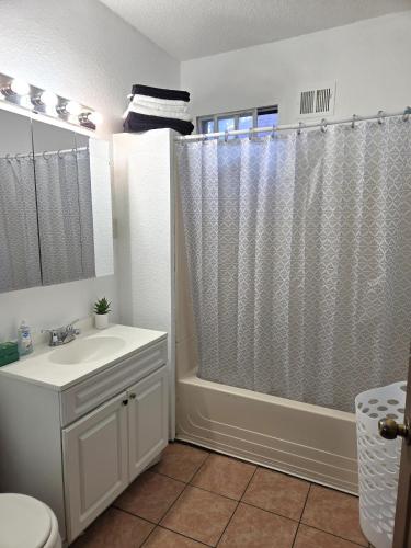 a bathroom with a shower curtain and a sink at Ana Maria del Azul in Minneapolis