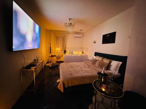 a bedroom with a large bed and a tv at Ž Šančių- Apartamentai in Kaunas