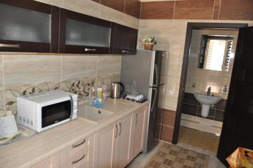 a kitchen with a microwave on a counter with a sink at Kosmos 519 in Zatoka