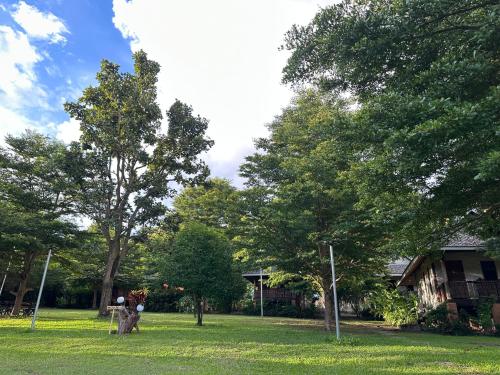 a group of trees in a yard with a house at FourTwoEight Pai Resort in Kampong Huaibū