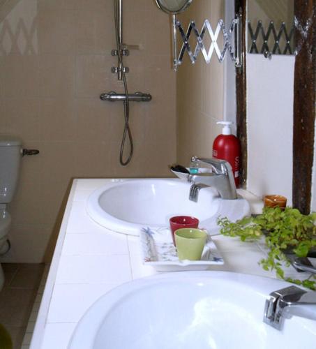 Photo de la galerie de l'établissement La Haute Folie, à Le Grand-Lucé