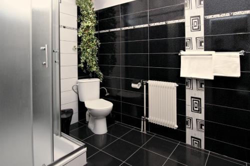 a bathroom with a toilet and black tiles at Penzion Muflon in Bělá nad Radbuzou