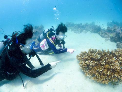 two people in the ocean looking at a reef at HOLLY CAMP CASA in Akagina