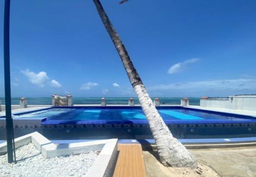 Bazén v ubytování Shelly Bay Resort nebo v jeho okolí
