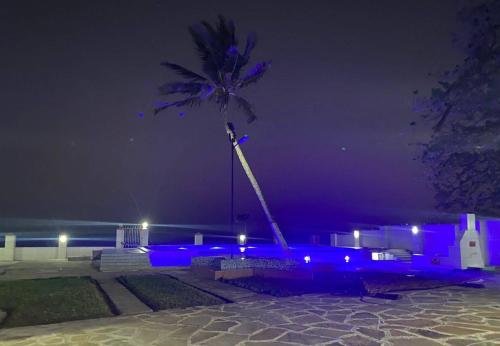 Fotografie z fotogalerie ubytování Shelly Bay Resort v destinaci Mombasa