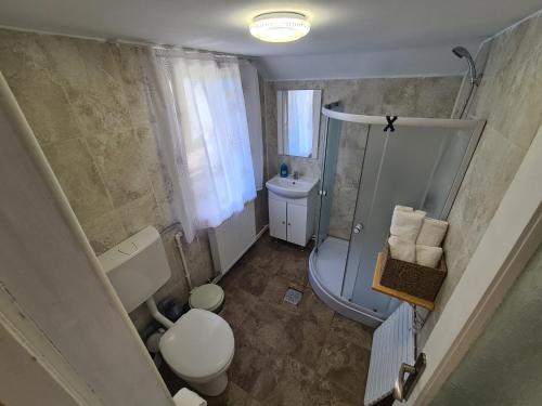 a small bathroom with a toilet and a shower at Casa Claudia in Slănic-Moldova