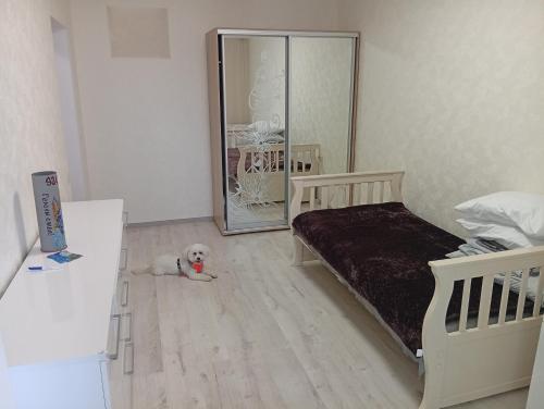 a bedroom with a bed and a dog laying on the floor at Апартаменты у моря м Южне in Sychavka