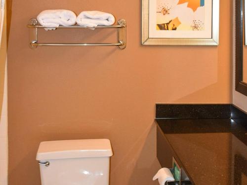 Bilik mandi di Comfort Inn & Suites Texas City I-45