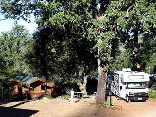 Fotografie z fotogalerie ubytování Log Cabin Rentals for Two with Shared Pool near Yosemite National Park v destinaci Second Garrotte