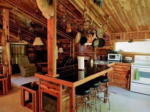 une cuisine avec un comptoir noir dans une cabine dans l'établissement Farmhouse Cabin Getaway near Ozark Forest in Arkansas, à Marshall
