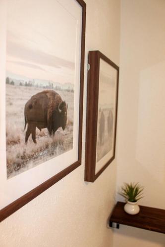 a picture of a bison hanging on a wall at Black Hills Glamping Cabin, Perfect for an Outdoor Adventure in Hill City