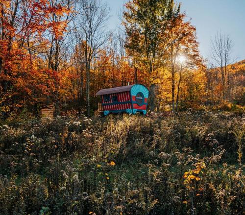 a smallshed sitting on a hill in a field at Off-Grid Rustic Glamping Experience Ideal to Reconnect in NY in Roxbury