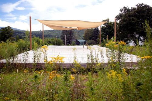 a hammock in the middle of a field of flowers at Off-Grid Rustic Glamping Experience Ideal to Reconnect in NY in Roxbury