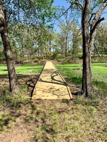 a wooden path in a park with two trees at Intimate Chic Cabin Suitable for Four with Private Deck in Texas in Emory