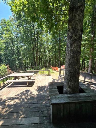 Taman di luar Beautiful Cabin with Spectacular Views for an Unforgettable Getaway in Nature near Rising Fawn, Georgia