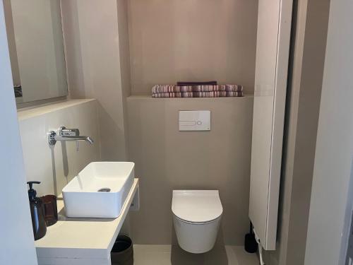 アントワープにあるB&B Marylineの洗面台とトイレ付きの小さなバスルーム
