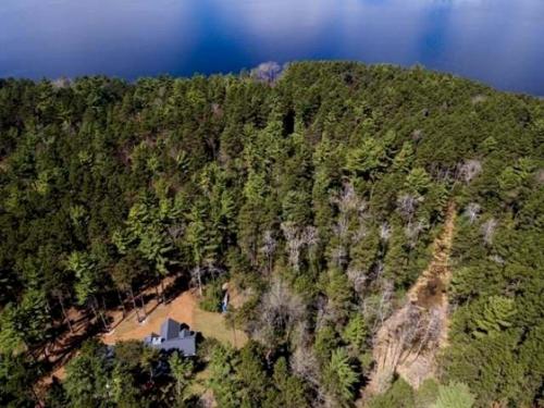 an aerial view of a forest with a house on a hill at Log Cabin Elegance: Your Private Haven on 5 Acres of Hazelhurst Waterfront in Hazelhurst