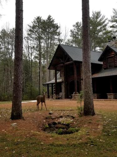 a deer standing in front of a log cabin at Log Cabin Elegance: Your Private Haven on 5 Acres of Hazelhurst Waterfront in Hazelhurst